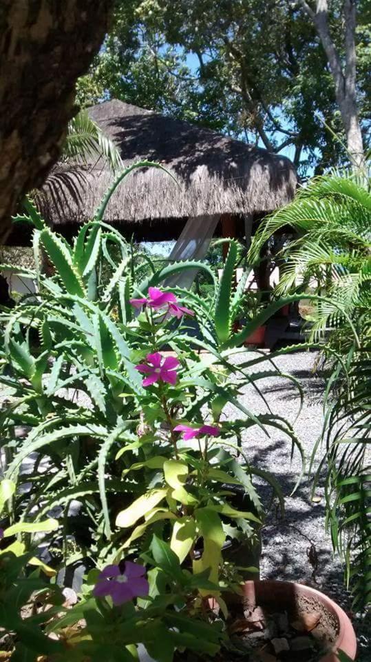 Chale "Oasis" Villa Praia do Forte Buitenkant foto