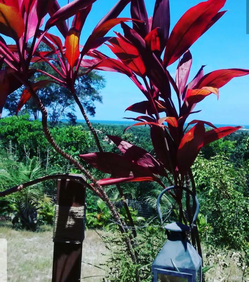 Chale "Oasis" Villa Praia do Forte Buitenkant foto